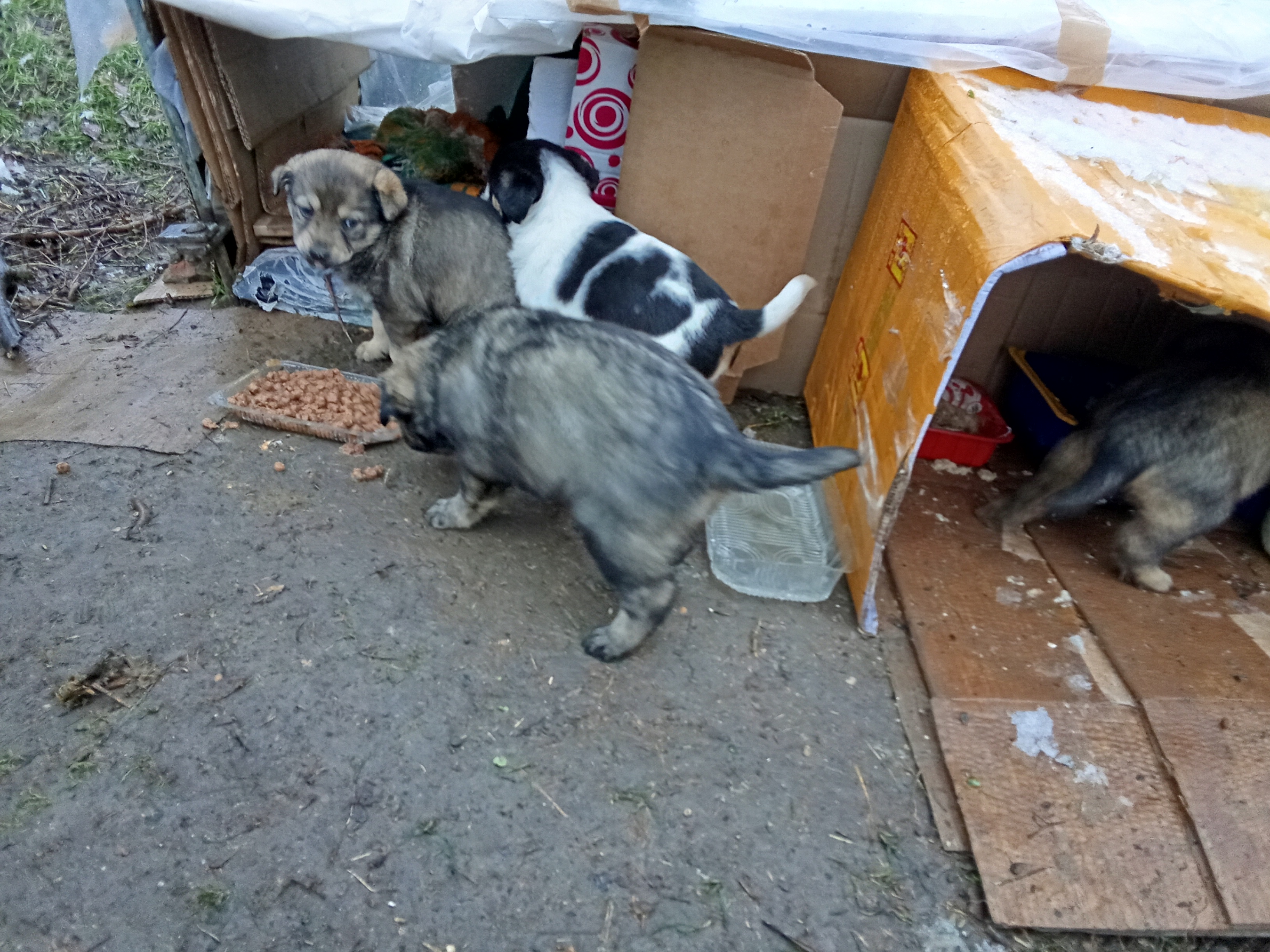 Спасите наши души..!